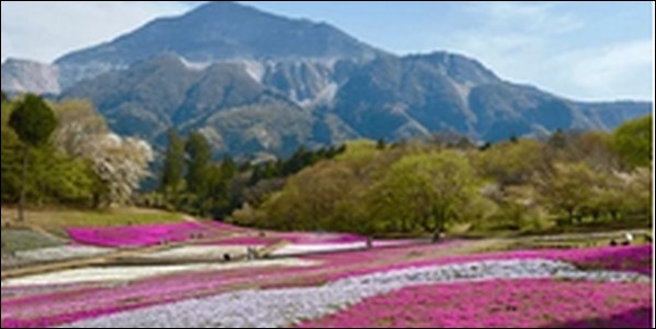 【朝だ生です旅サラダ】埼玉県秩父市の温泉、観光船、食堂、神社