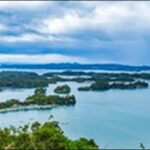 【朝だ生です旅サラダ】宮城県石巻市の魚市場、ビール工場を紹介