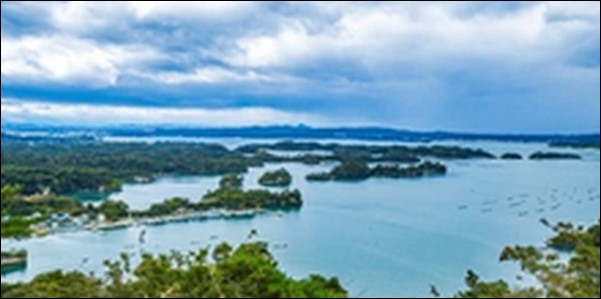 【朝だ生です旅サラダ】宮城県石巻市の魚市場、ビール工場を紹介