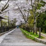 【朝だ生です旅サラダ】京都府の寺、農園、博物館、和菓子店、和食店