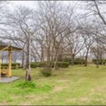 【朝だ生です旅サラダ】鳥取県倉吉市・湯梨浜町お勧めグルメ3選