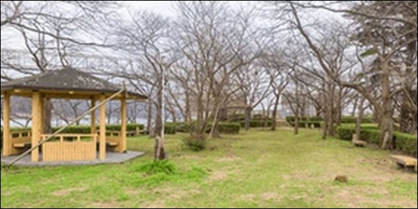 【朝だ生です旅サラダ】鳥取県倉吉市・湯梨浜町お勧めグルメ3選