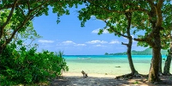 【朝だ生です旅サラダ】沖縄県石垣島・竹富島お勧めスポット7選