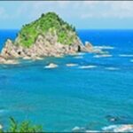 【朝だ生です旅サラダ】鳥取県境港市お勧めグルメ2選を紹介します。