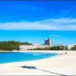 【よ~いドン】和歌山県和歌山市の魚市場、海鮮料理店、観光船、寺