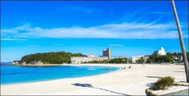 【よ～いドン】和歌山県和歌山市の魚市場、海鮮料理店、観光船、寺