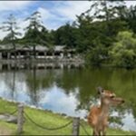 【よ～いドン】奈良県吉野お勧めスポット3選！人々を魅了する地域