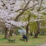 【帰れマンデー見っけ隊】青森県弘前市お勧めスポット4選を紹介