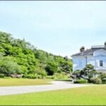 【朝だ生です旅サラダ】鳥取県米子市お勧めグルメ3選を紹介します。