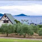 【朝だ生です旅サラダ】香川県小豆島お勧めスポット4選を紹介