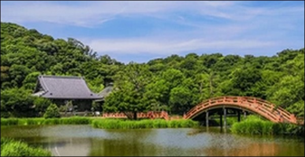 【朝だ生です旅サラダ】石川県金沢市お勧めスポット8選を紹介！
