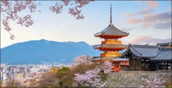 【土曜はナニする】京都府京都市右京区お勧めスポット4選！