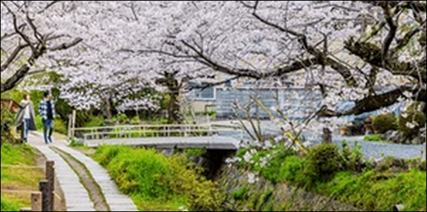【土曜のあさはほめるちゃん】京都市上京区お勧めスポット5選！