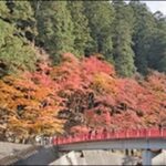 【よ～いドン】愛知県豊田市お勧めスポット4選！人気スポットを厳選